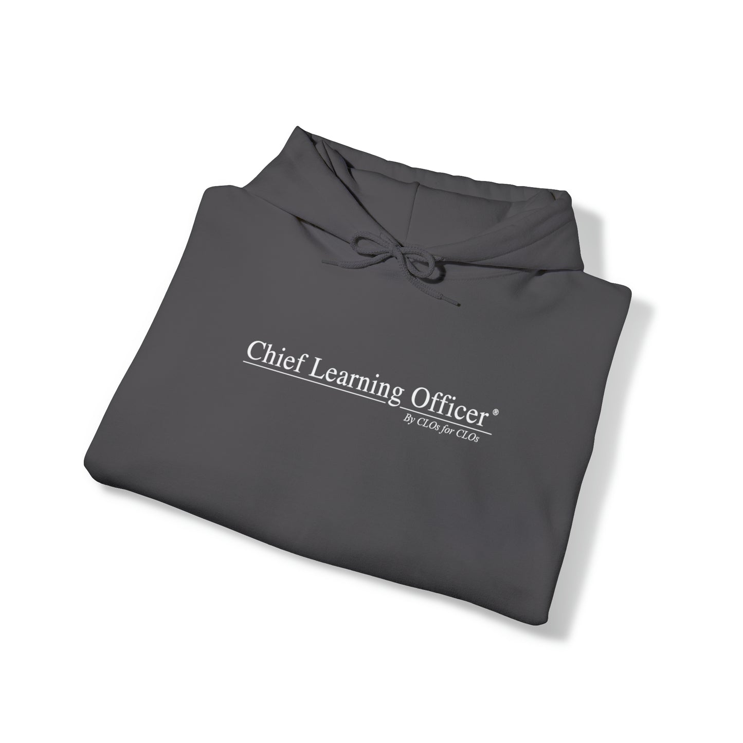 Chief Learning Officer Hooded Sweatshirt