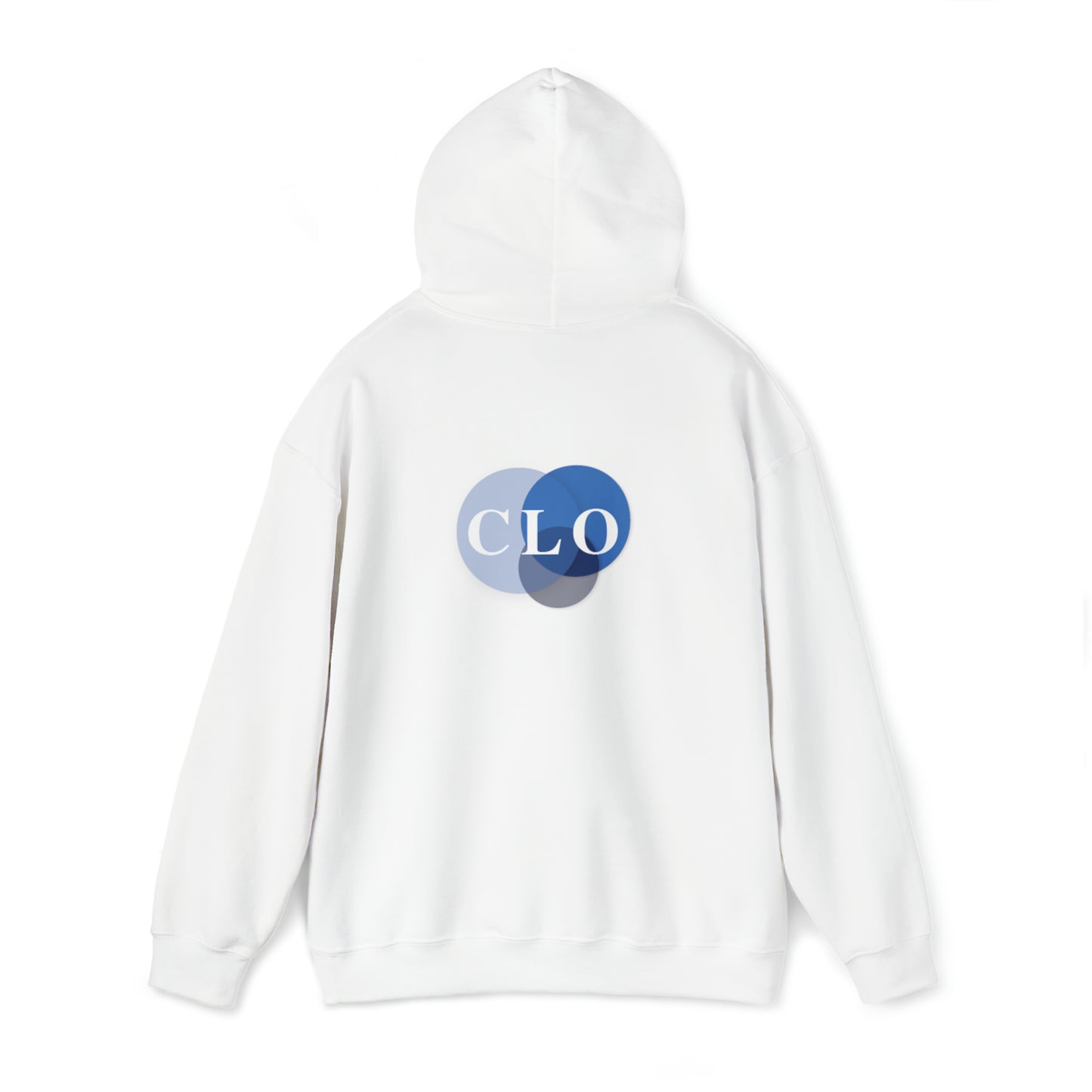 Chief Learning Officer Bubble Hooded Sweatshirt