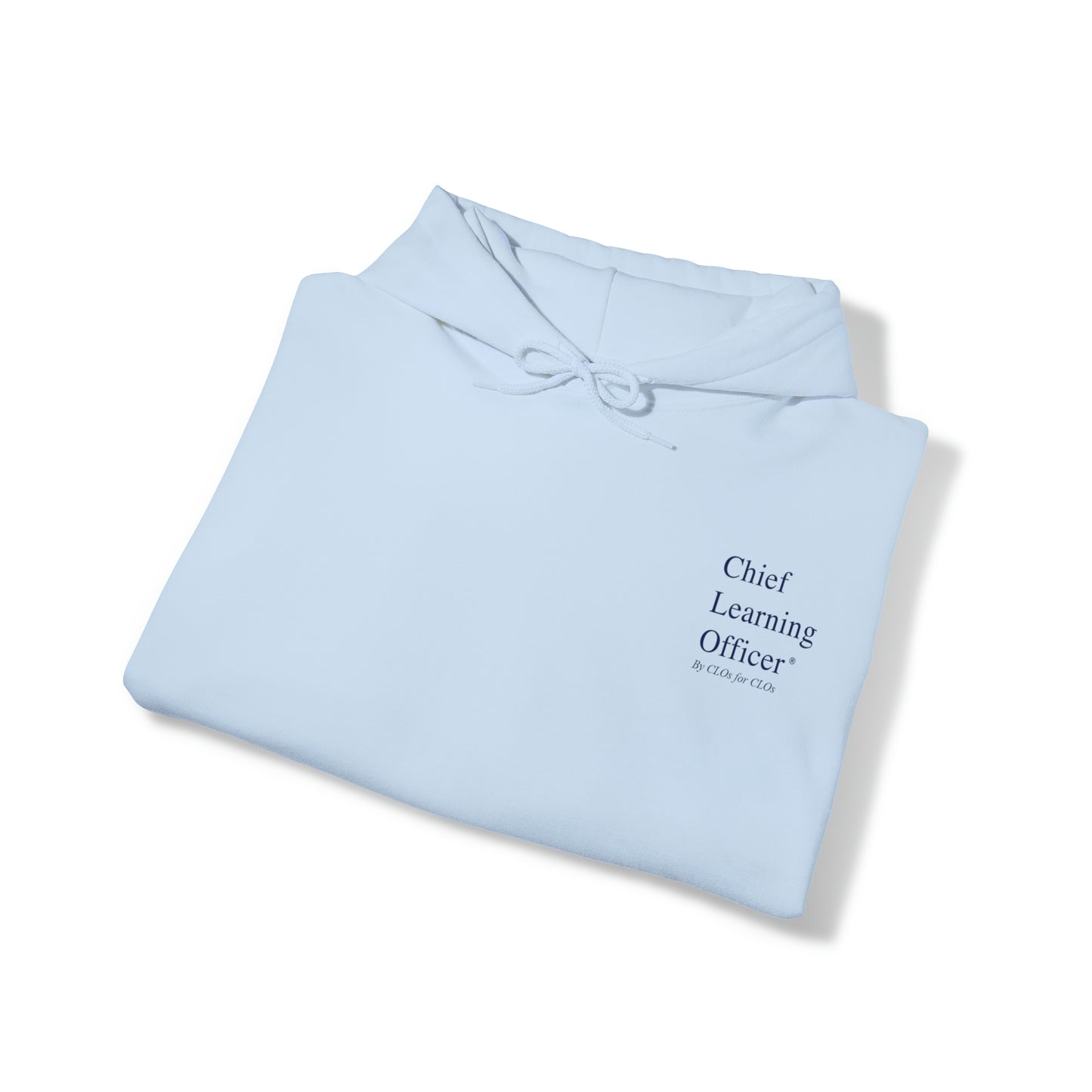 Chief Learning Officer Bubble Hooded Sweatshirt