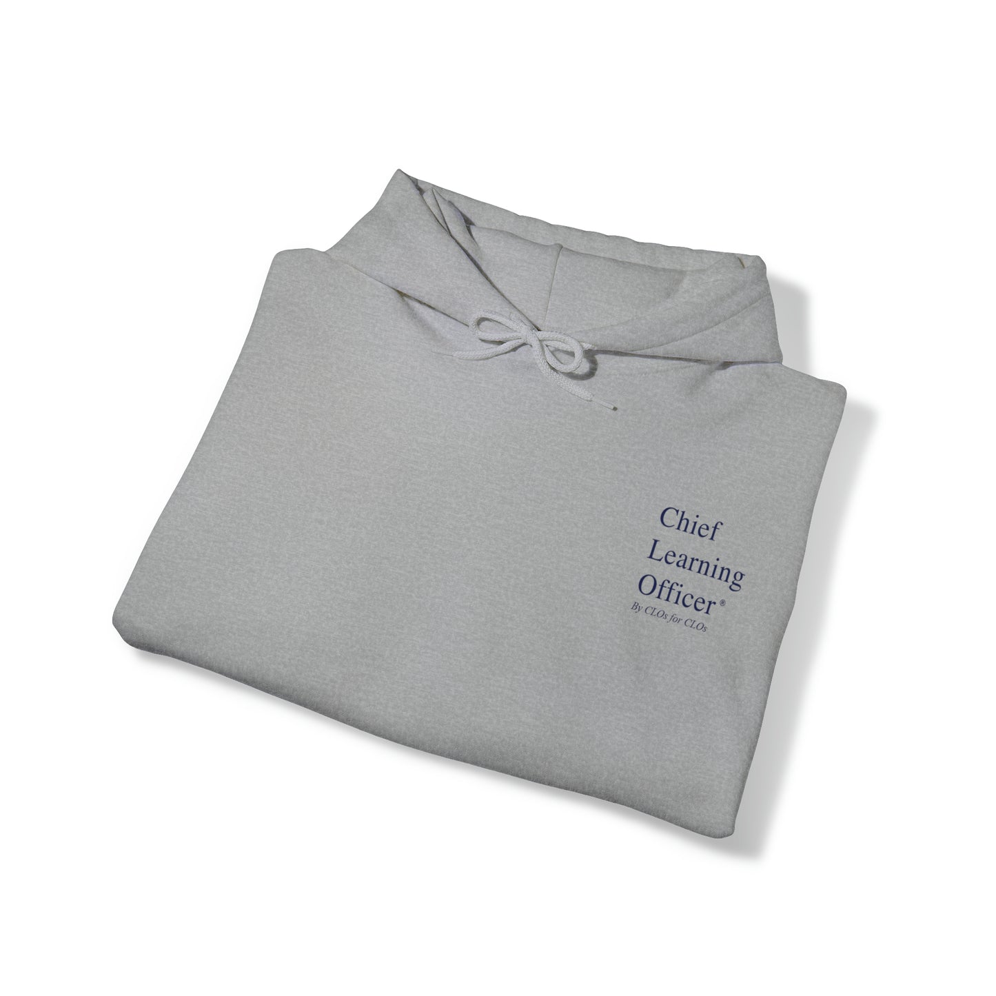 Chief Learning Officer Bubble Hooded Sweatshirt