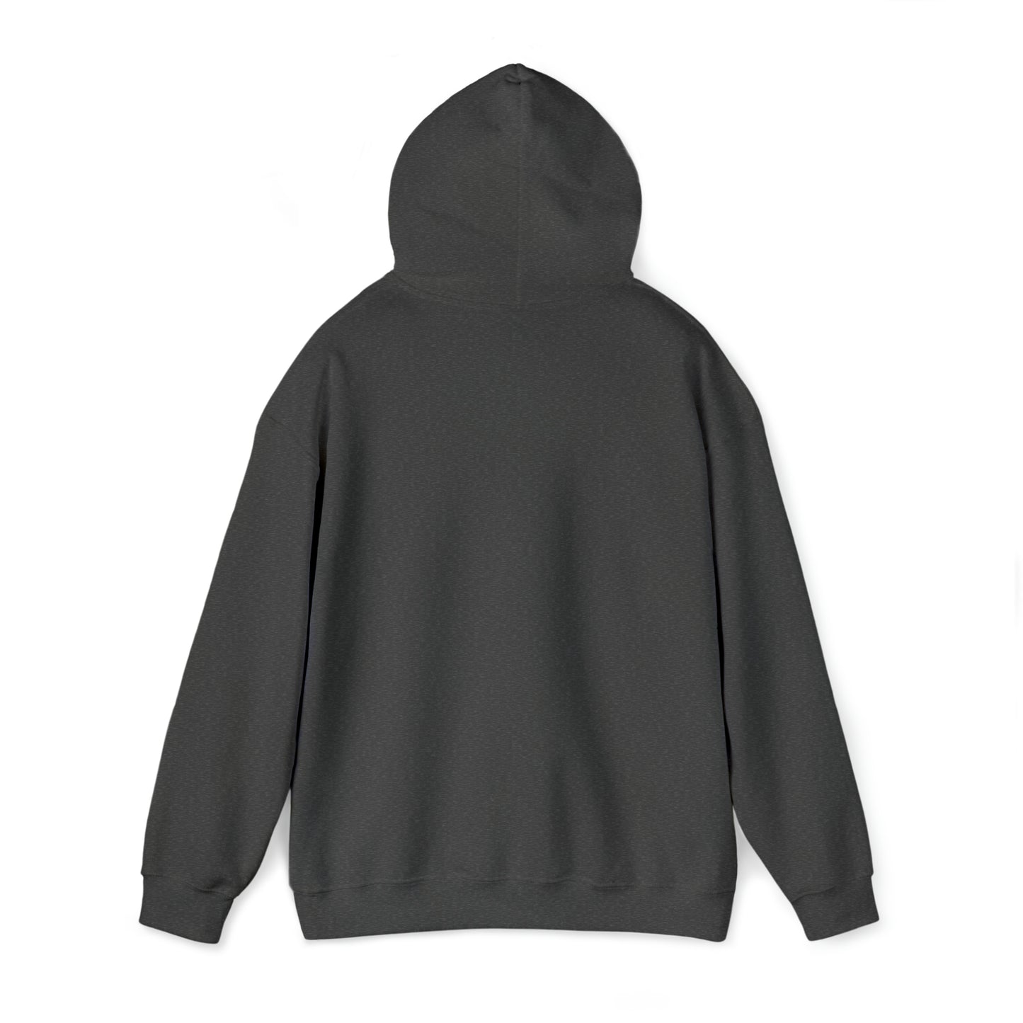 Chief Learning Officer Hooded Sweatshirt