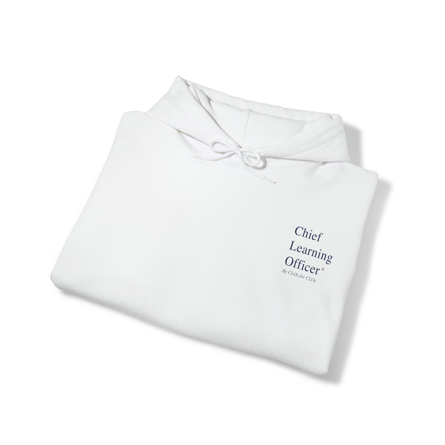 Chief Learning Officer Bubble Hooded Sweatshirt