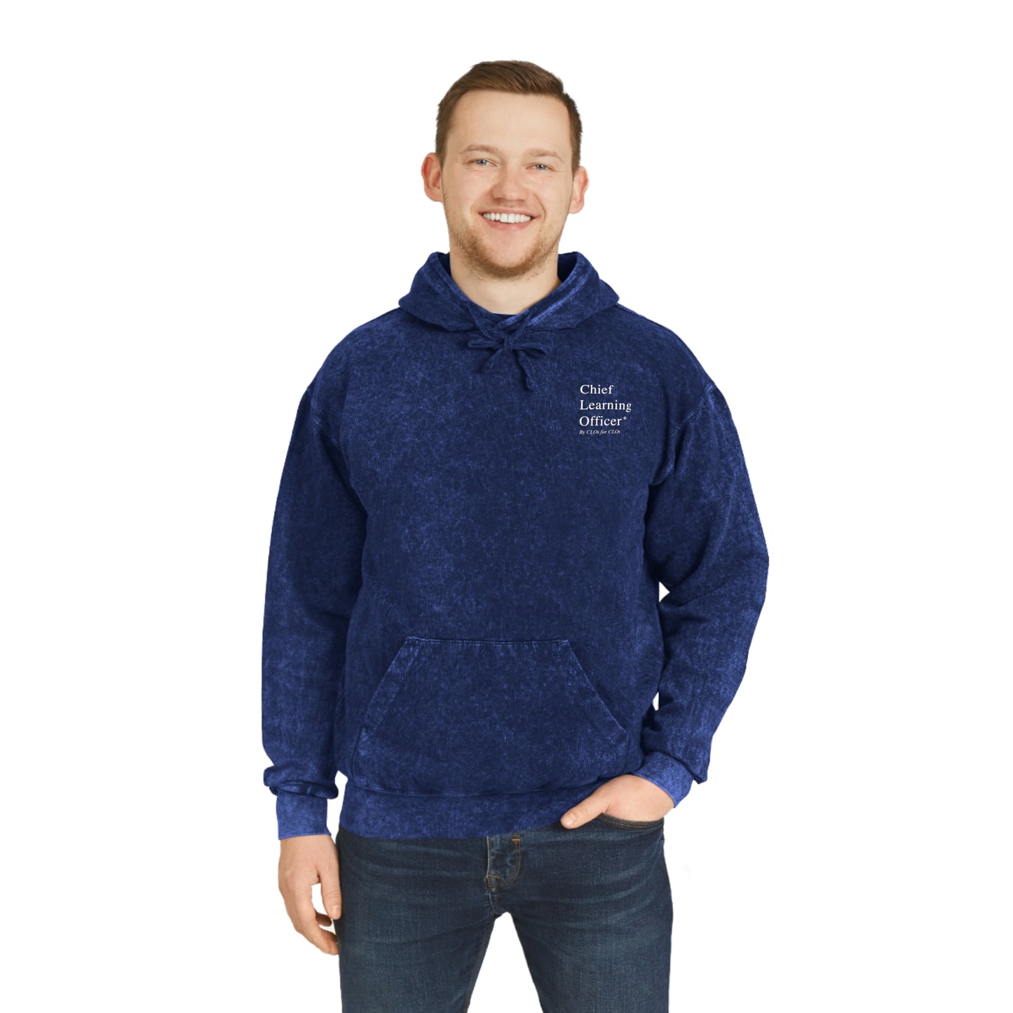 Chief Learning Officer Mineral Wash Hoodie