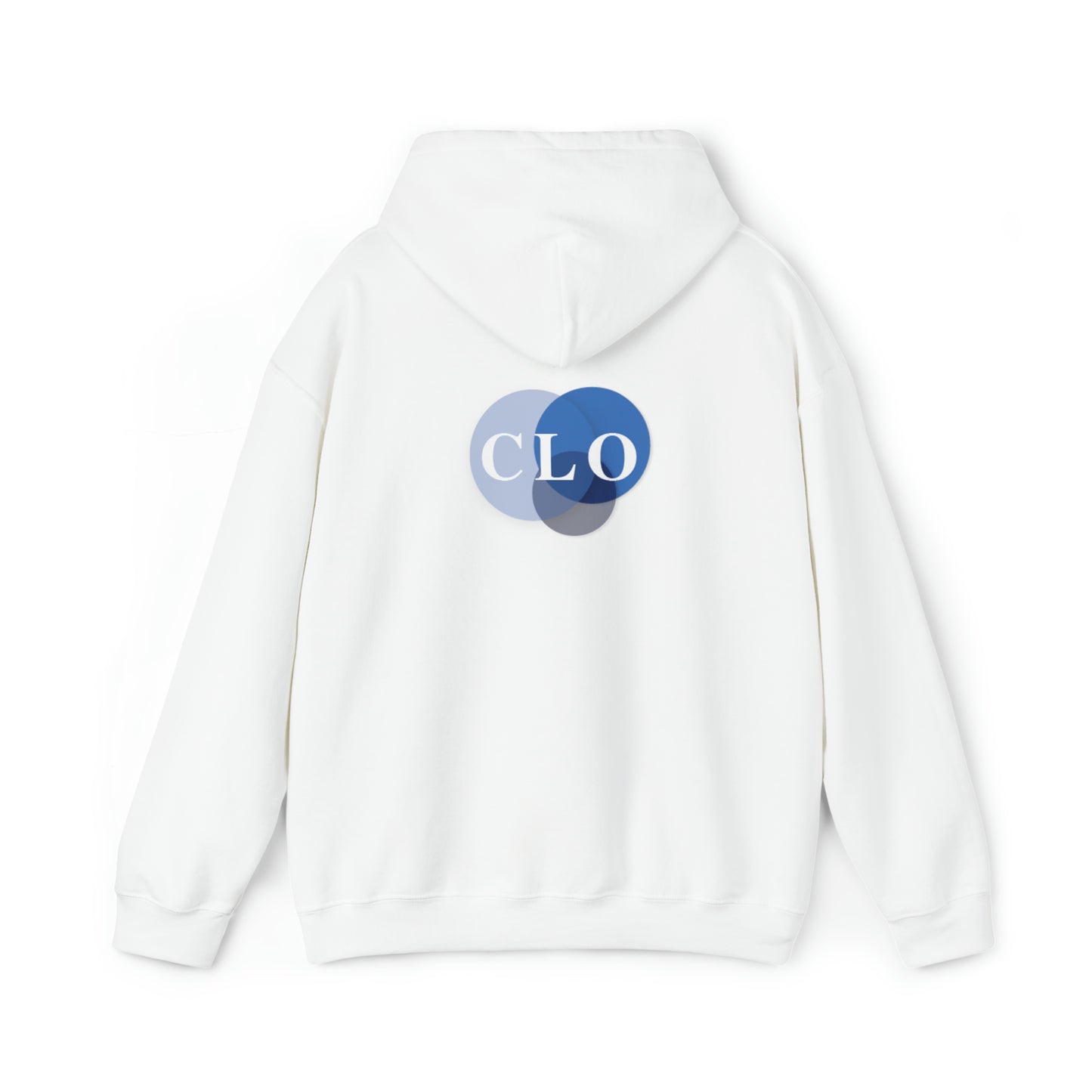 Chief Learning Officer Bubble Hooded Sweatshirt