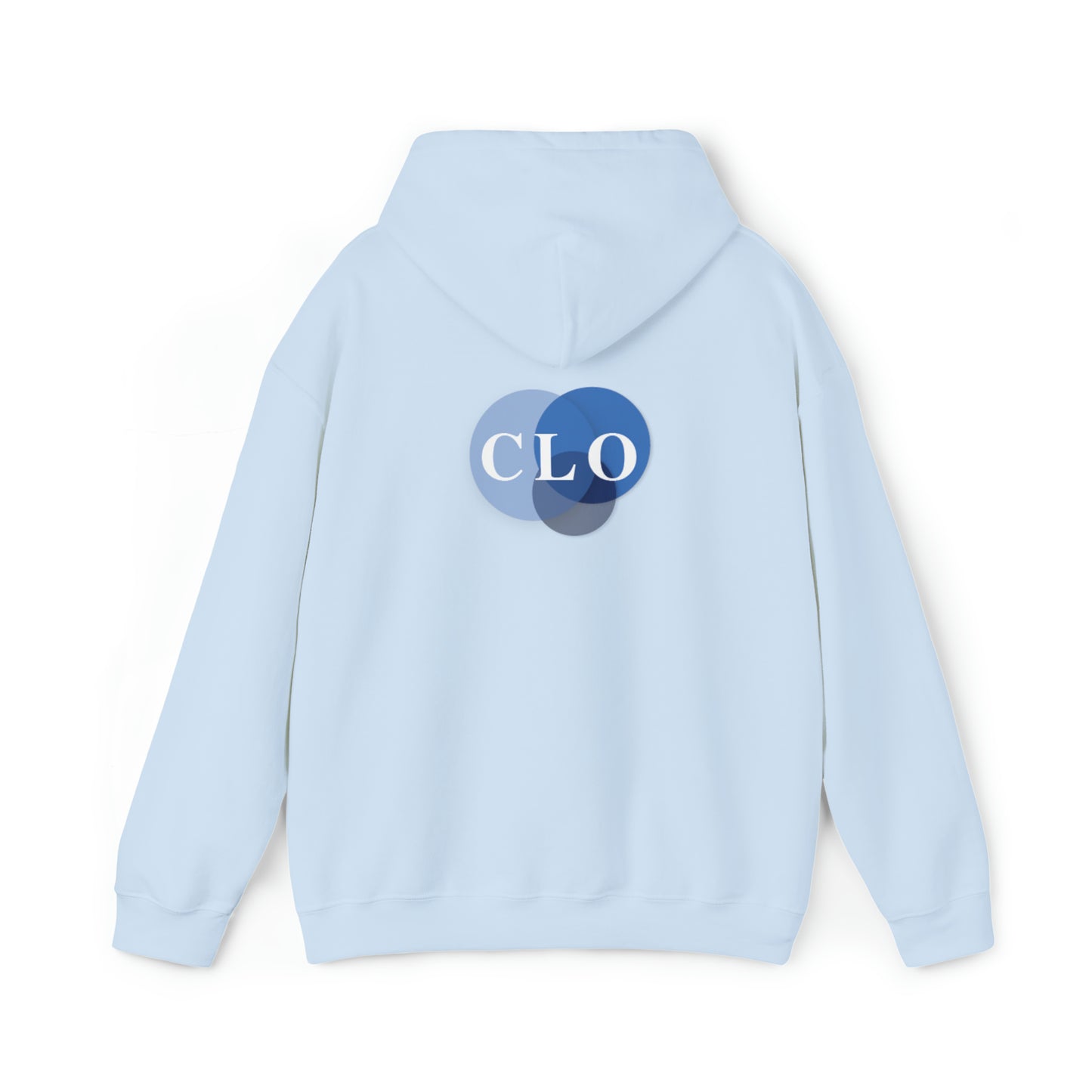 Chief Learning Officer Bubble Hooded Sweatshirt