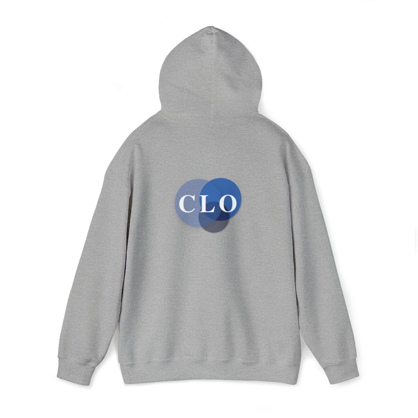 Chief Learning Officer Bubble Hooded Sweatshirt