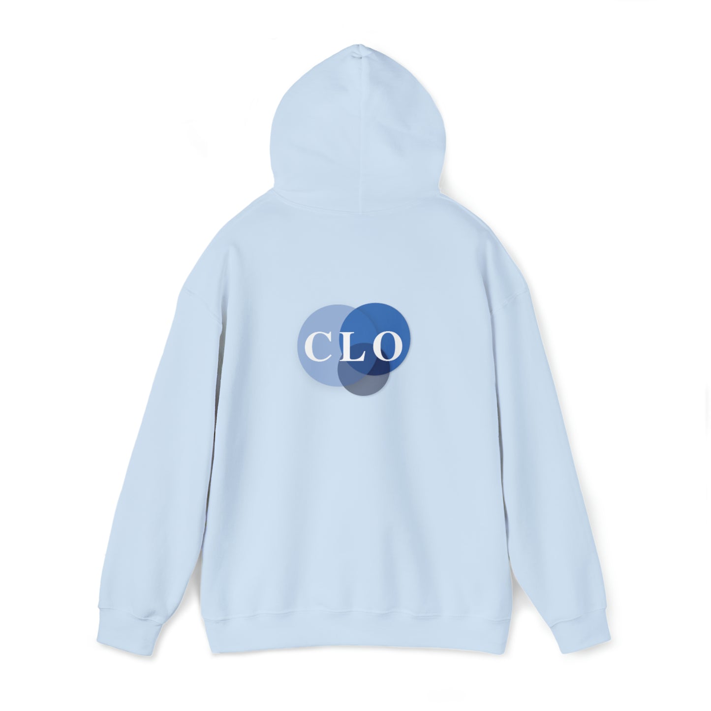 Chief Learning Officer Bubble Hooded Sweatshirt