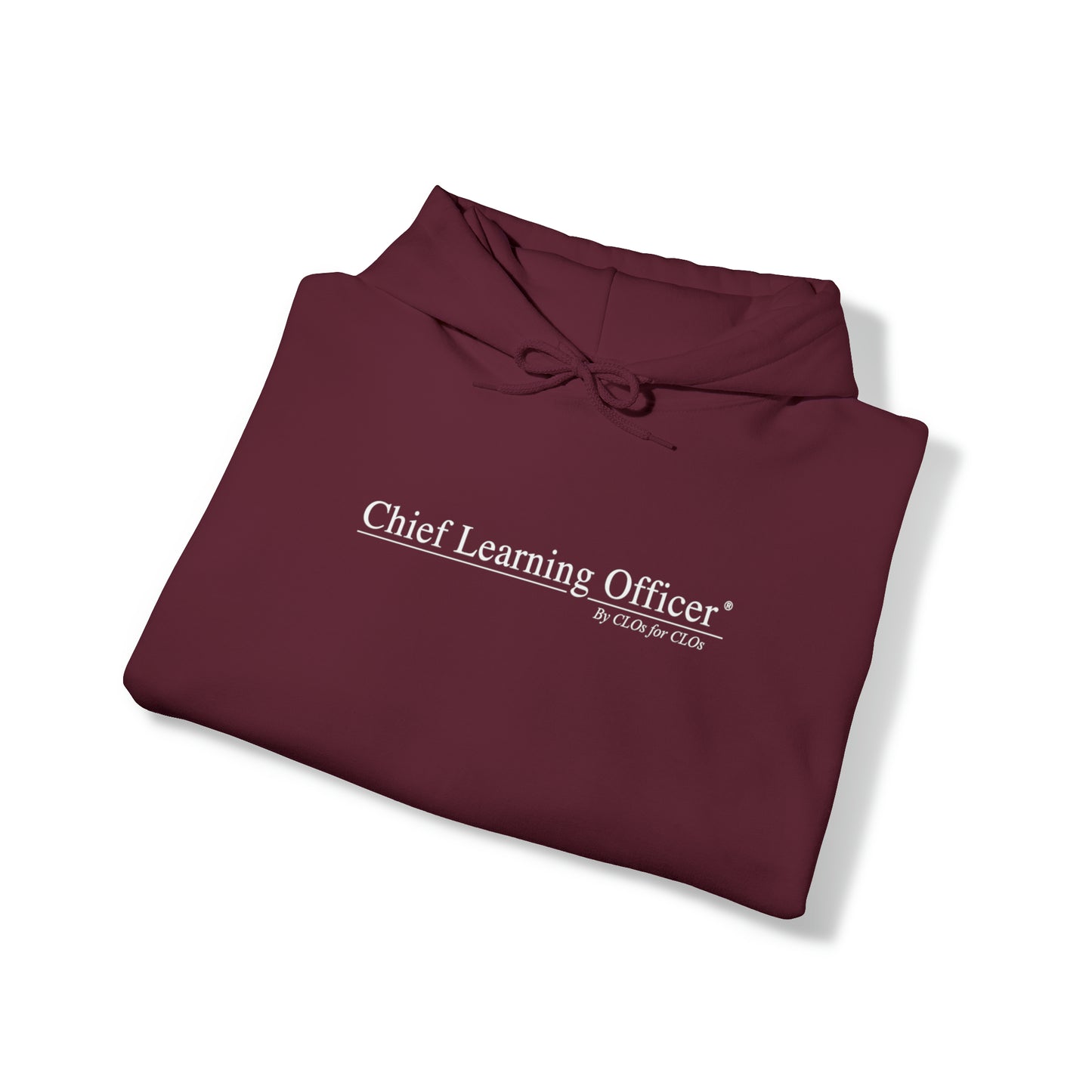 Chief Learning Officer Hooded Sweatshirt