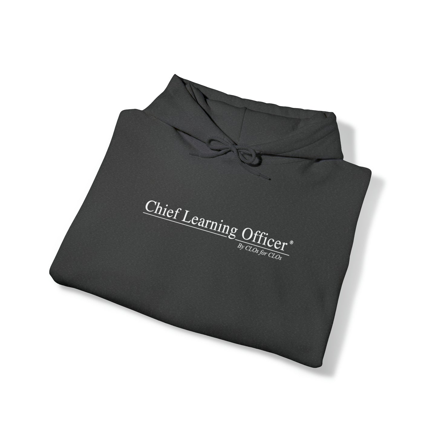 Chief Learning Officer Hooded Sweatshirt