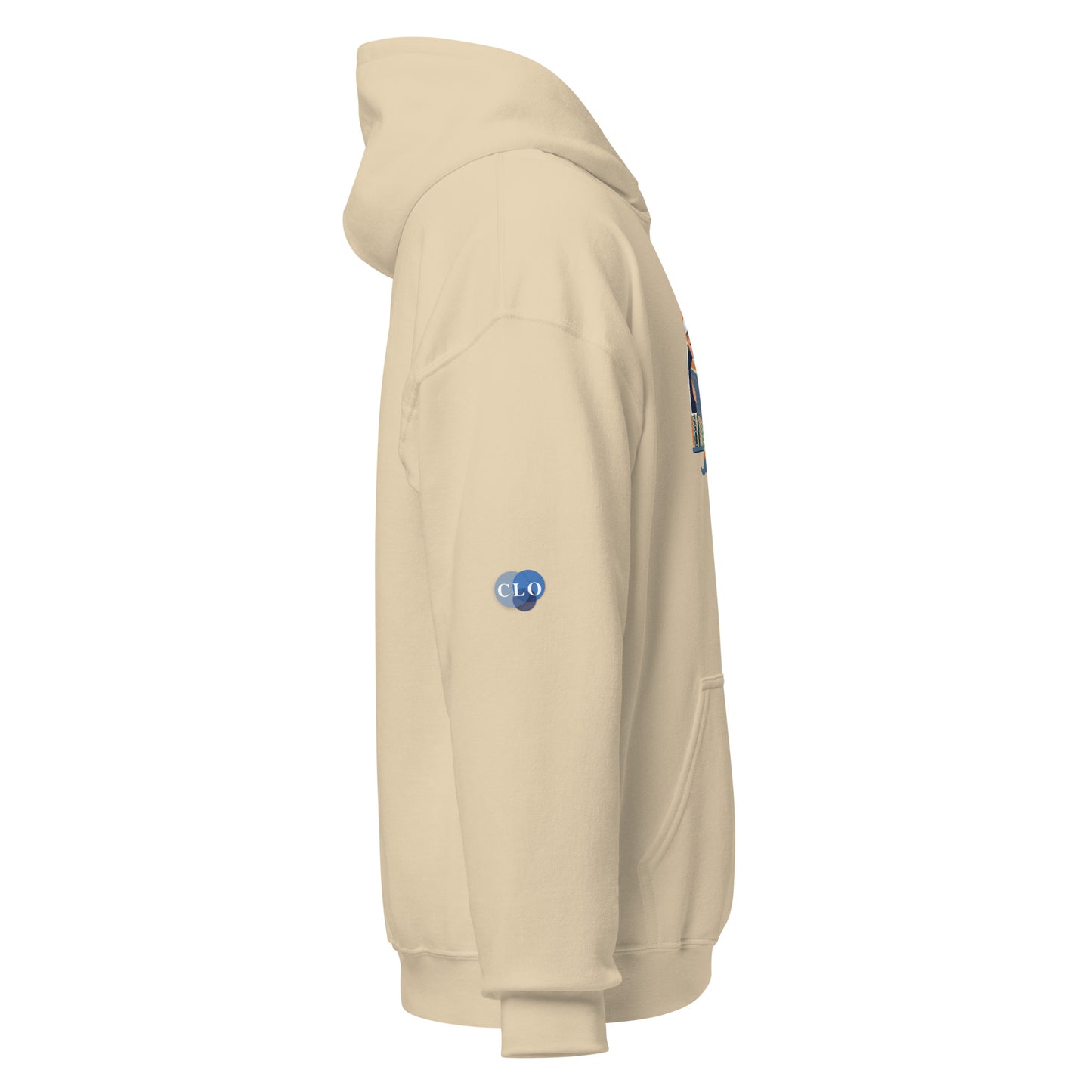Learning Elf on a Shelf Unisex Hoodie